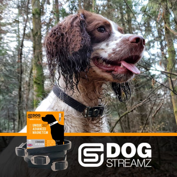 DOG Streamz therapy collars for canine health care, image of dora in collar