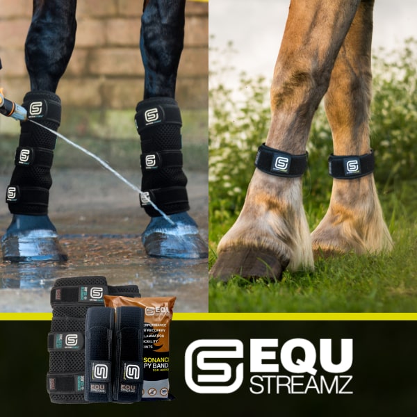 EQU Streamz therapy horse bands and cool boots for equine health care