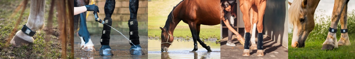 EQU Streamz and Coolboots collage of horse sin Streamz equine collection