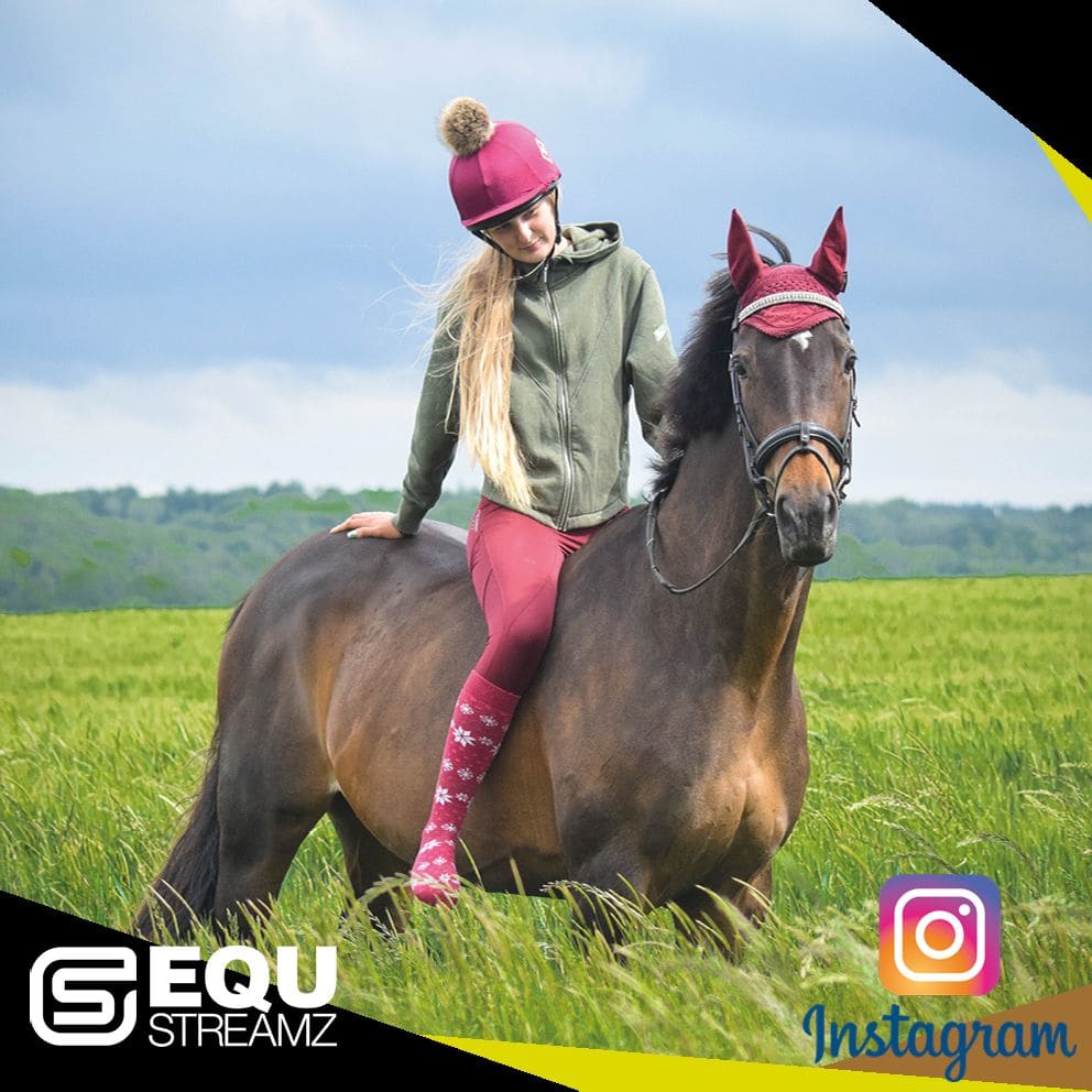 Ella May Summers EQU StreamZ magnetic Horse Bands Endorsement on showjumping horse Cher These EQU StreamZ bands work miracles! Cher’s legs don’t swell at all in her stable anymore. Definitely worth the purchase, highly recommended