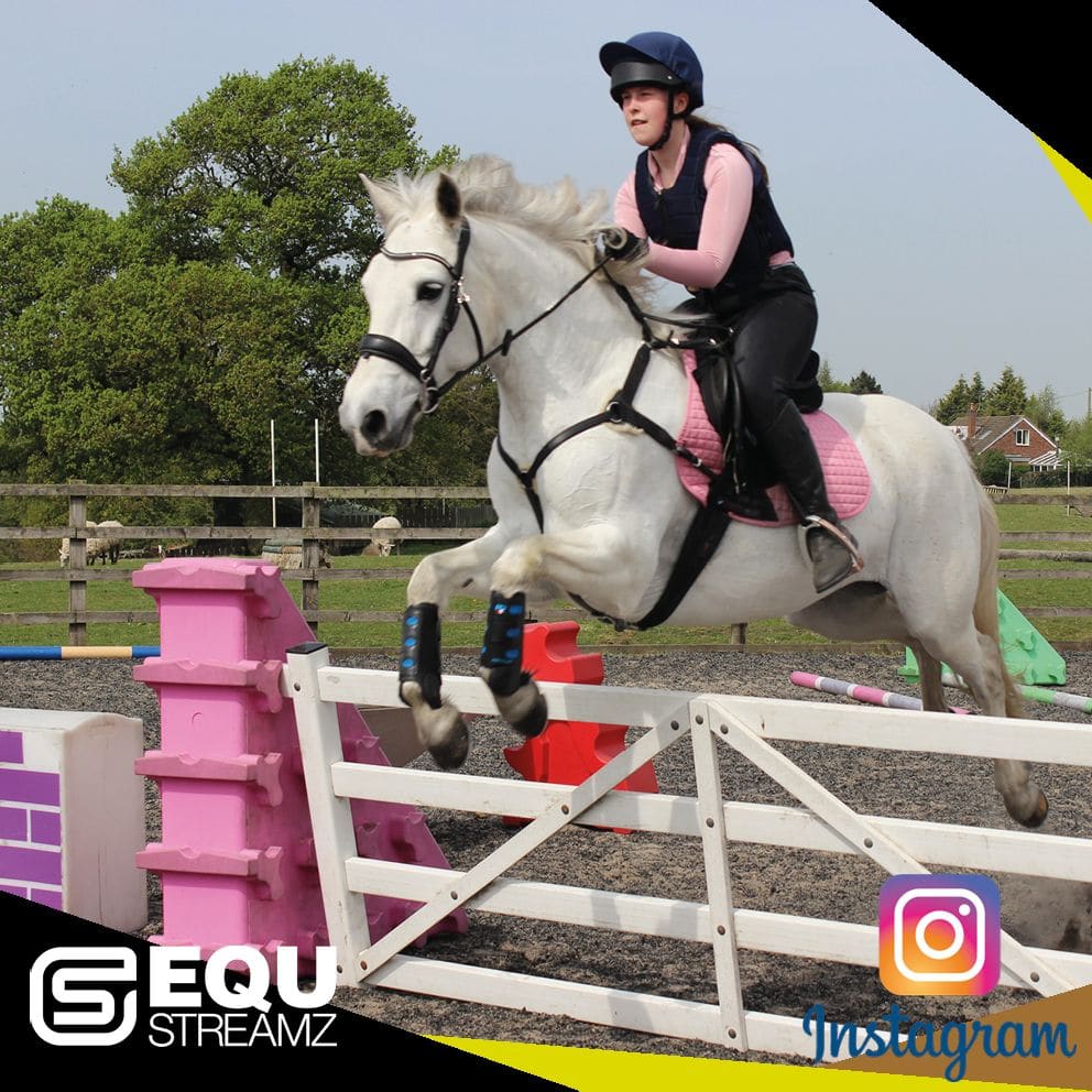 Emily Hollins EQU StreamZ review Tilly feels much more energetic and just generally happier after using her bands! She is much more responsive and is feeling really good! I would definitely recommend the EQU StreamZ bands as part of your horses daily care