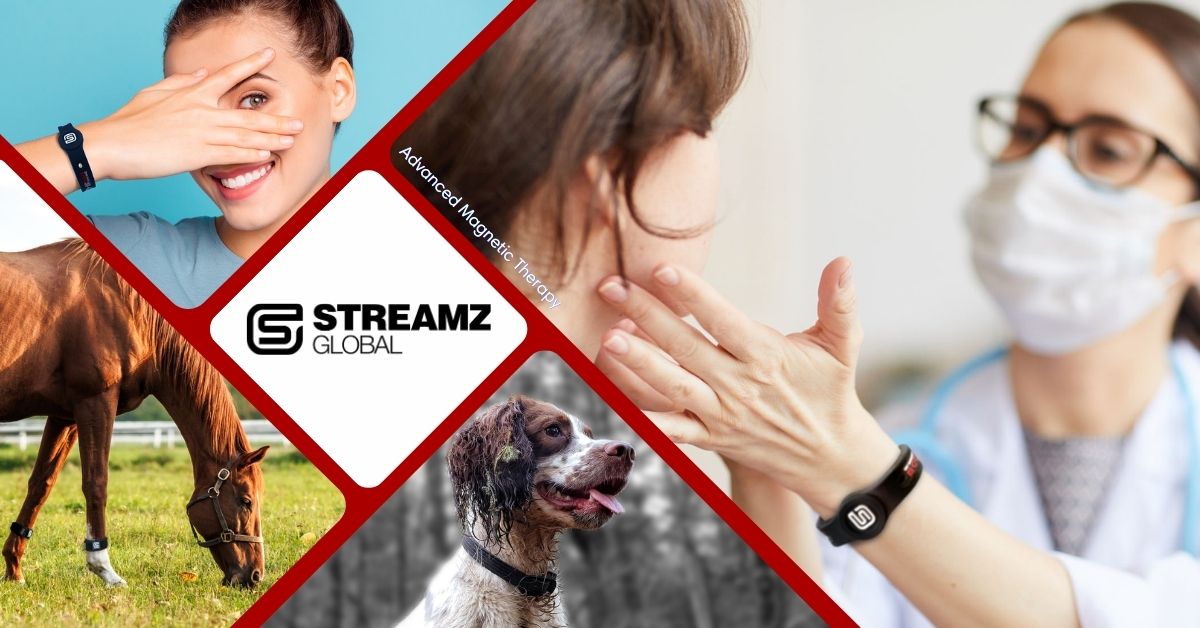 StreamZ Global | Natural Joint Care for Humans, Horses & Dogs