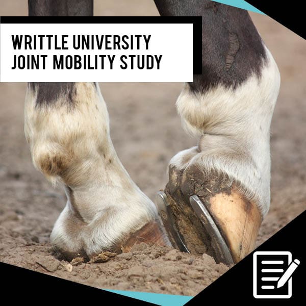 EQU StreamZ Joint Mobility Study Results In conclusion, it was possible to demonstrate a correlation between the use of the EQU StreamZ fetlock bands and improved tarsal joint mobility