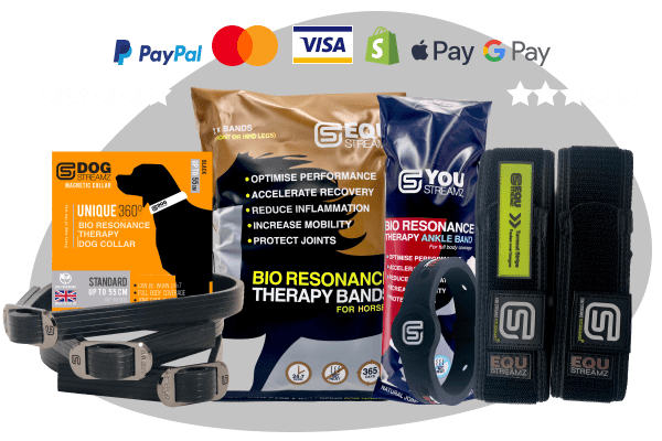 Streamz global magnetic technology for horses humans and dogs. Natural pain relief and recovery.