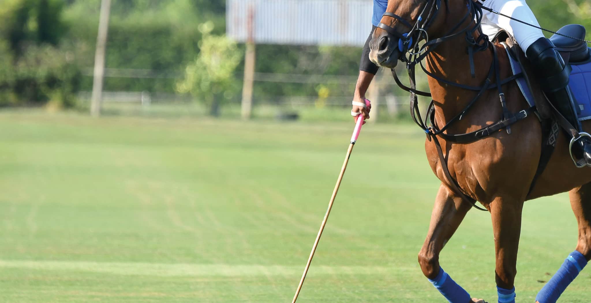 EQU Streamz polo introduction blog image of polo team on horses 