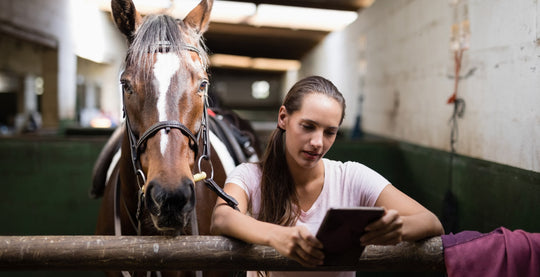 New horse technologies being used in the equine community. Horse rider checking out new technology in horse stable.