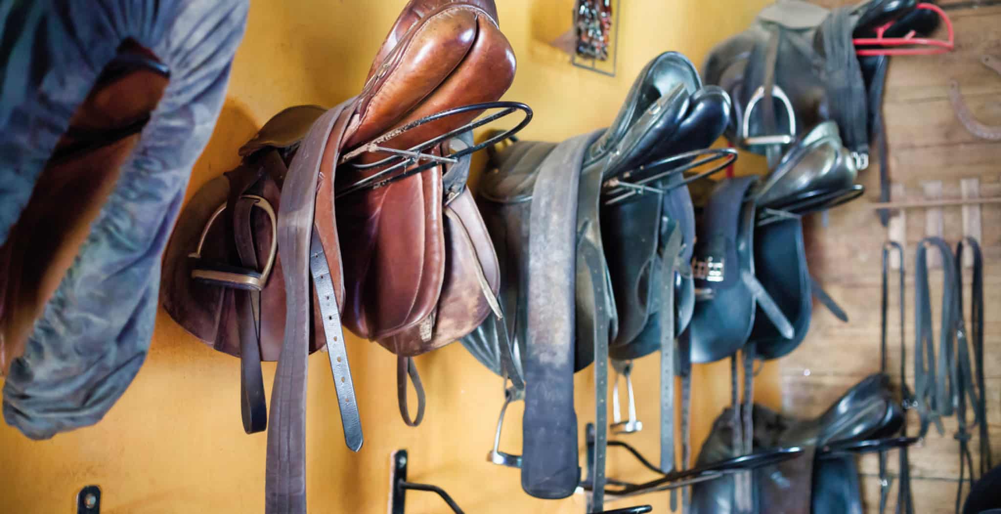 A variety of horse riding disciplines including showjumping and dressage