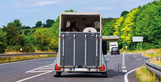 101 Guide on Horse Trailering | Checklist for buying the trailer that suits you