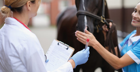 EQU Streamz benefits to nsaid drugs as they help horses in pain and reduce inflammation