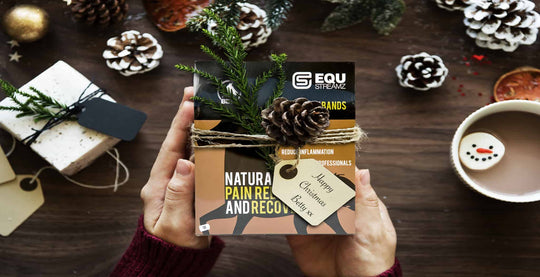 EQU Streamz blog Christmas sale gifts and ideas for horsey presents and xmas gifts