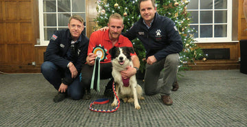 DOG Streamz advanced magnetic dog collars endorsed by Lee Gibson dog agility team gb professional endorsement