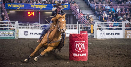 EQU Streamz magnetic horse bands blog article on Barrel racing Horses common injuries and treatments they have regularly