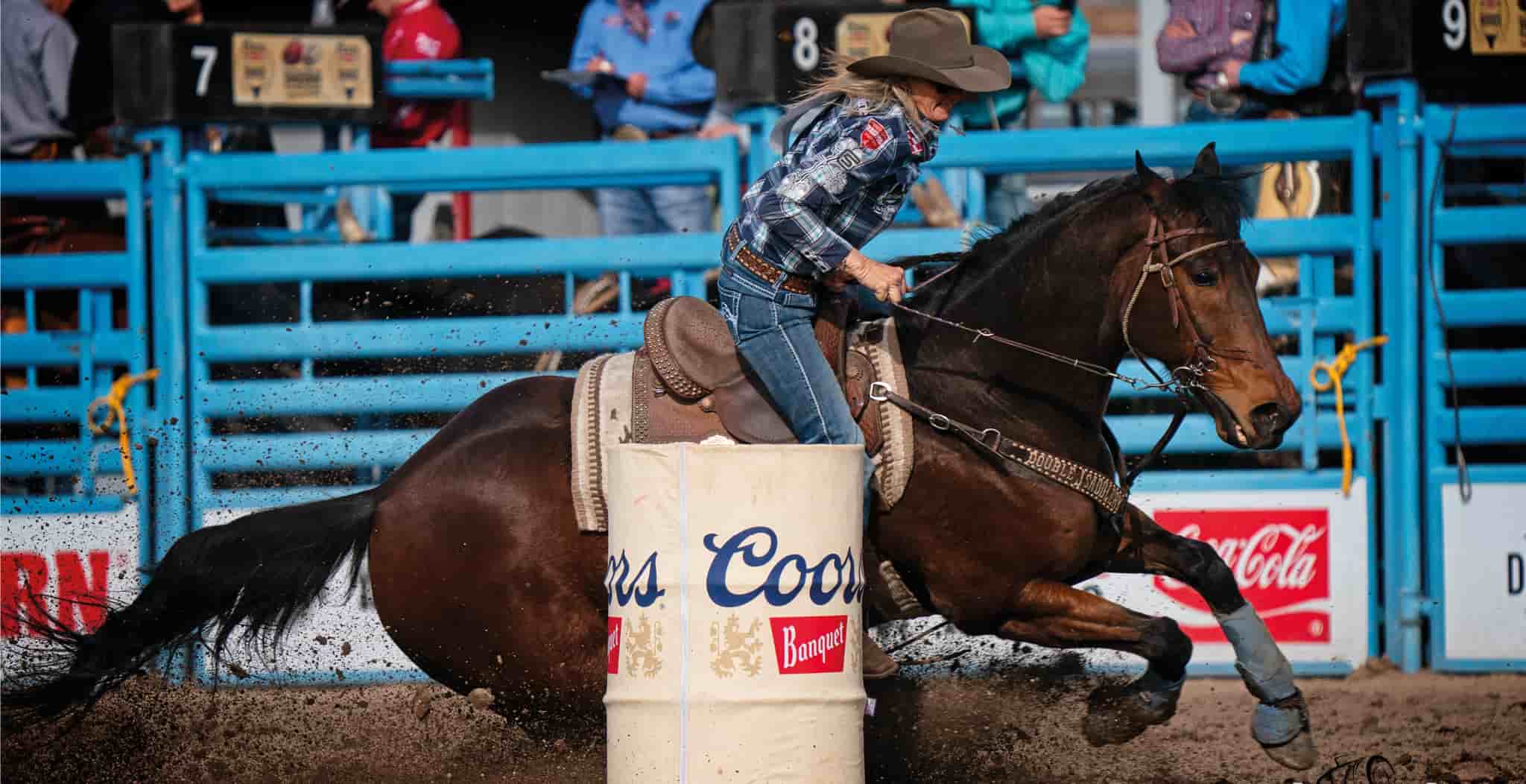 Jana Bean Barrel Racer joins the StreamZ after seeing a positive impact our advanced magnetism on her sports horses.
