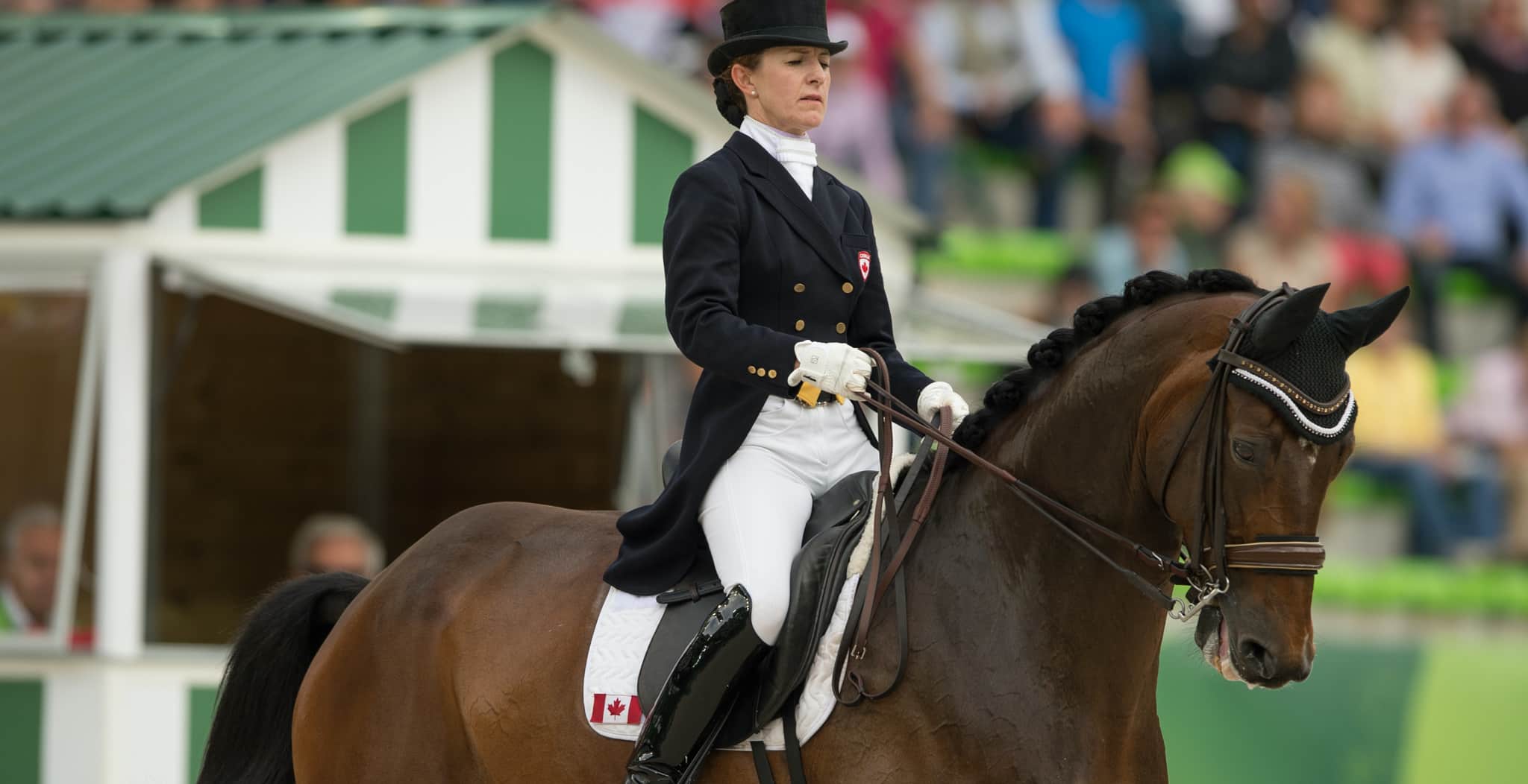 Belinda Trussell is an international elite Dressage professional who endorses equ streamz magnetic therapy bands for horses