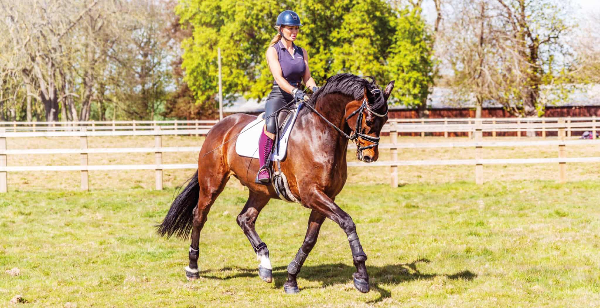 EQU Streamz advanced magnetic therapy for horses sponsored rider Sofie Butchart 12 tips for young dressage rdiers