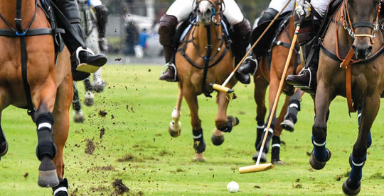 Polo was the first ever recorded equestrian sport. Originating from the need to train and ride horses into battle the sport has evolved into globally recognised sport