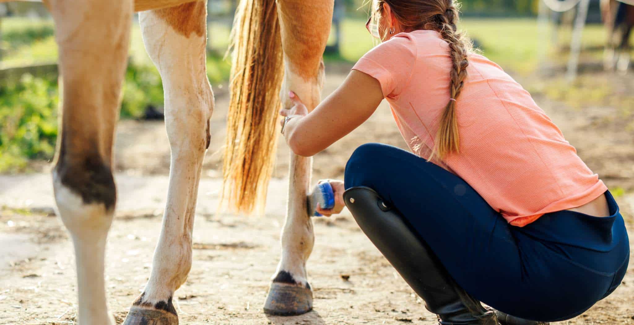 EQU Streamz The Complete Guide to Hock Injuries & Care Main Image of women treating hock
