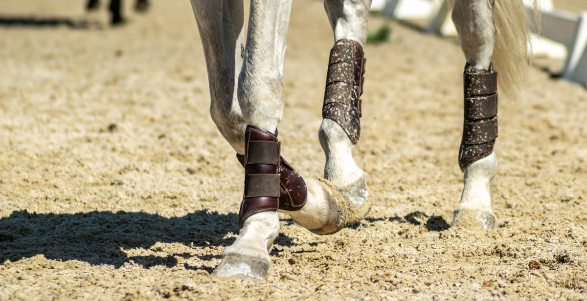The Ultimate Guide to Horse Boots: Magnetic vs Cooling Technology - StreamZ Global