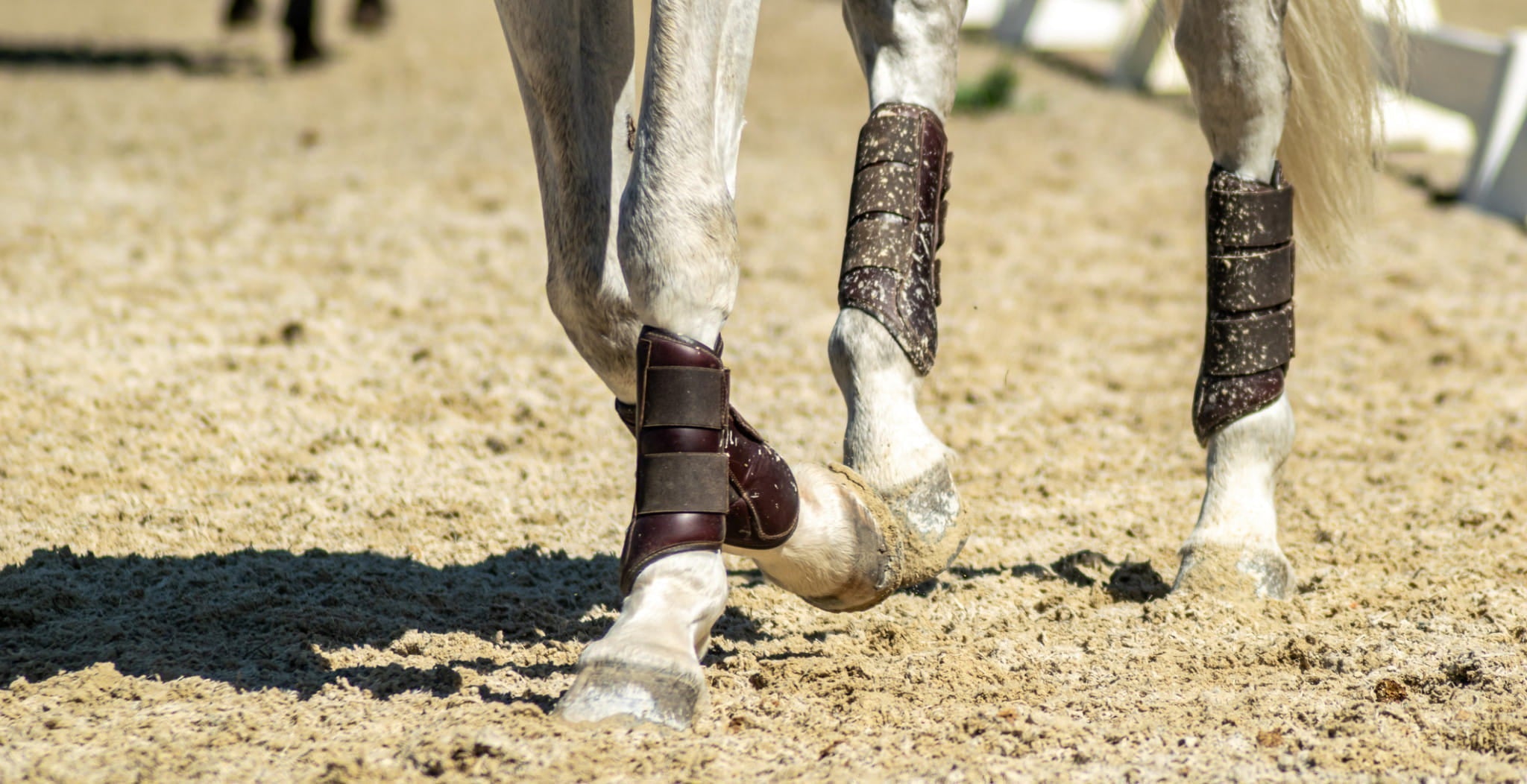The Ultimate Guide to Horse Boots Magnetic vs Cooling Technology