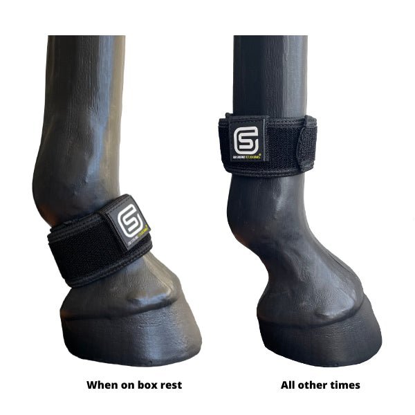 EQU StreamZ magnetic horse bands worn on two horses legs either above or below the fetlock depending on turnout or box rest.