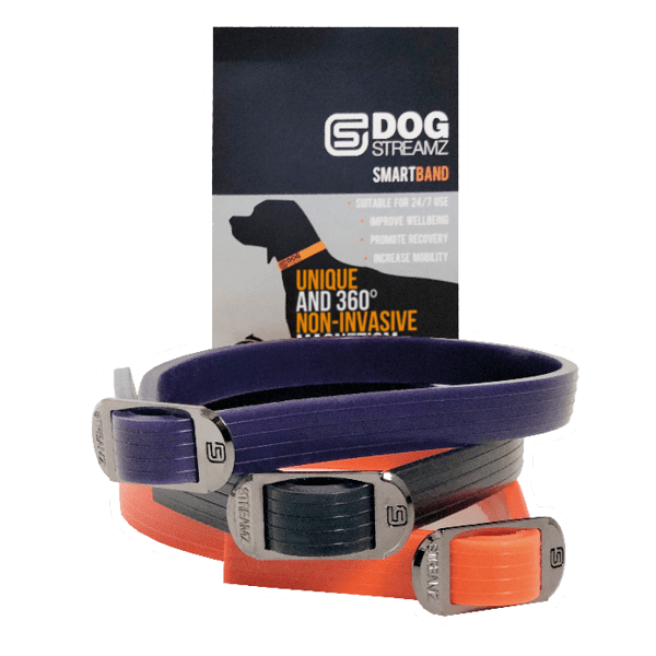 DOG StreamZ Product Image