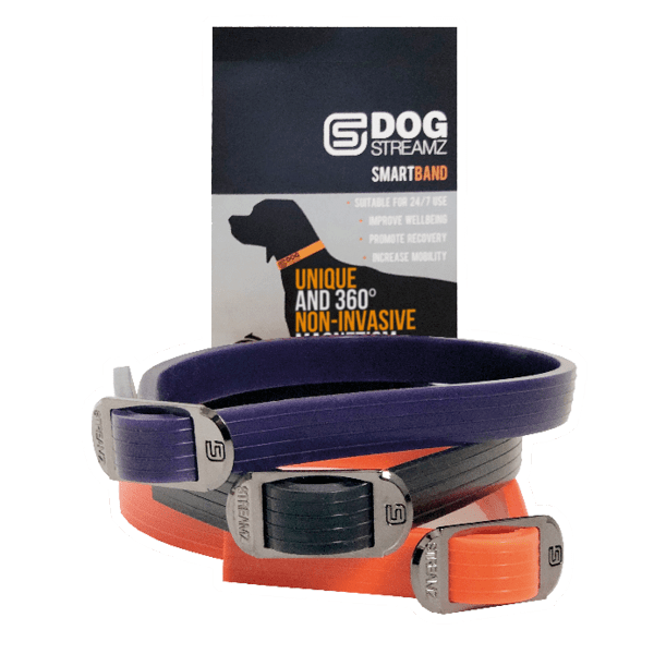 Agility online dog collars