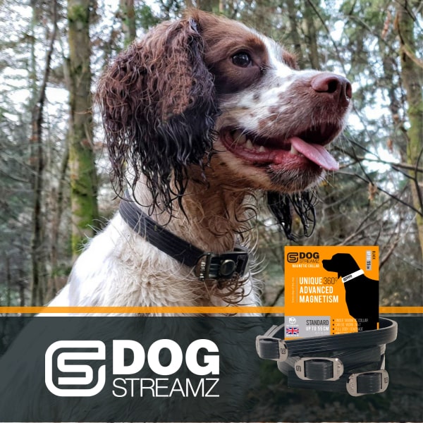 DOG StreamZ Advanced Magnetic Dog Collars new magnetic process to support dog joint and wellbeing endorsed by canine experts 
