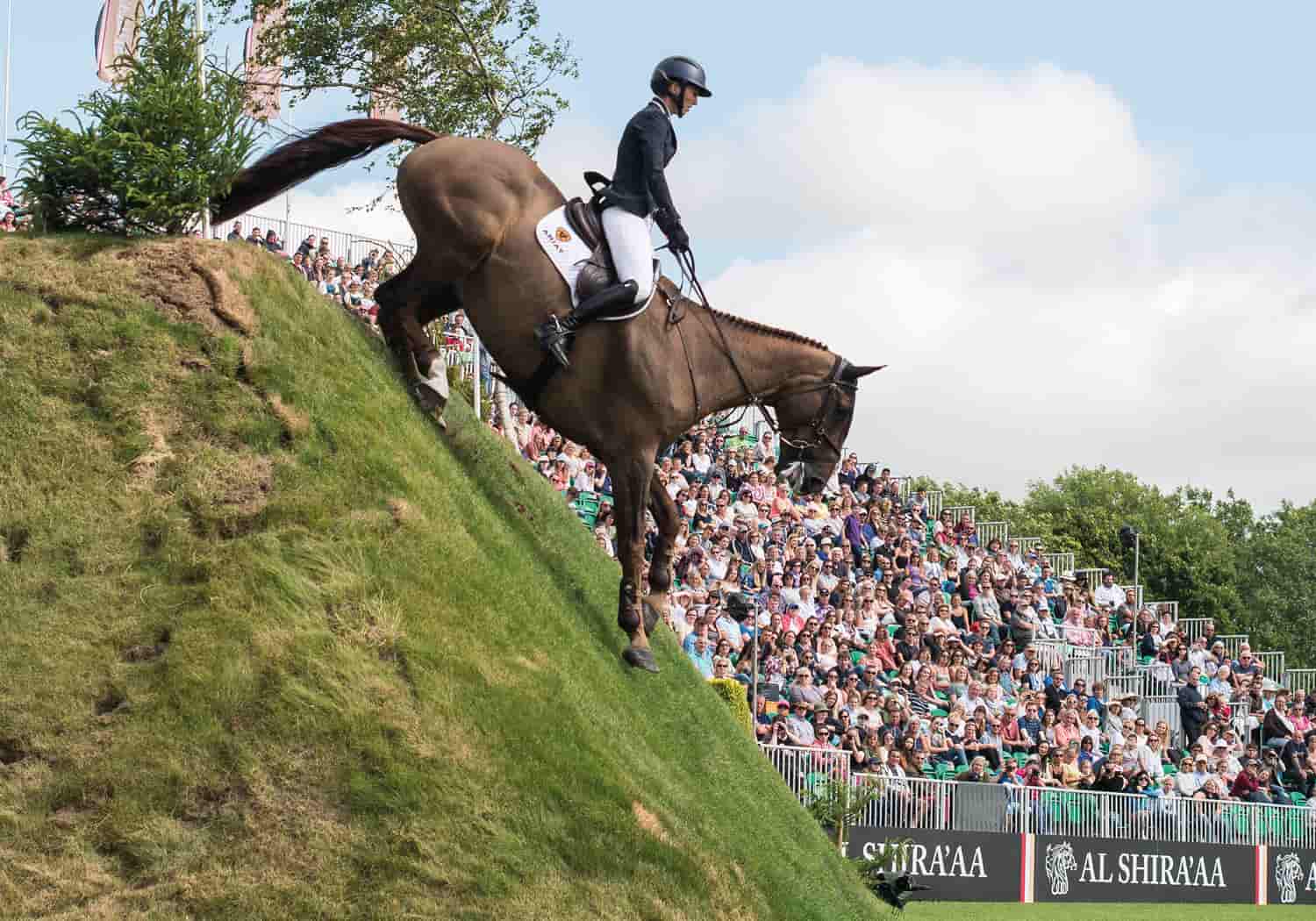 Harriet Nuttall showjumping star endorses equ streamz advaced magnetic therapy bands for horses