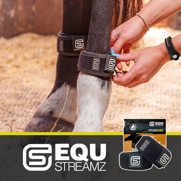 EQU StreamZ Magnetic Horse Bands sold in pairs with horse icon and equ streamz logo