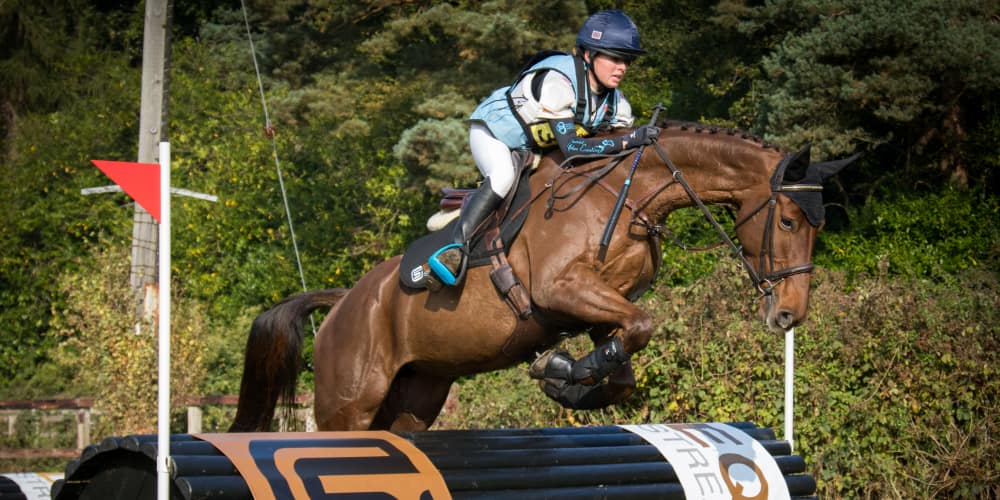 Harriet Upton equ streamz endorsement magnetic horse bands