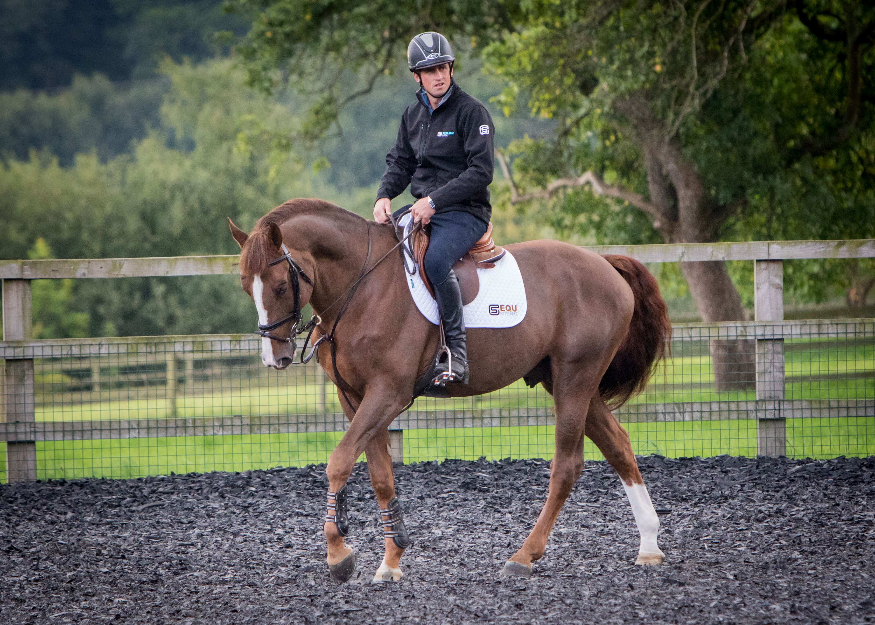 EQU Streamz magnetic horse bands endorsed by tevor breen showjumping grand prix rider who endorses streamz technology on his jumping and sports horses