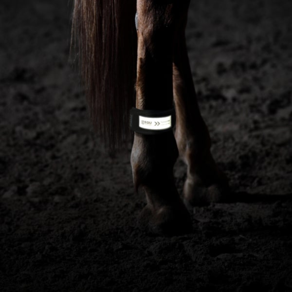 EQU Streamz Reflective magnetic horse bands turnout strips for use on horses and ponies as reflective option for turnout