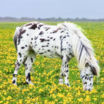 EQU Streamz Reflective turnout strips for horses outside/turned out who may chew at the bands. Horse turned out in spring.