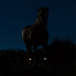 EQU Streamz Reflective turnout strips for horses outside/turned out who may chew at the bands. At night reflecting light.