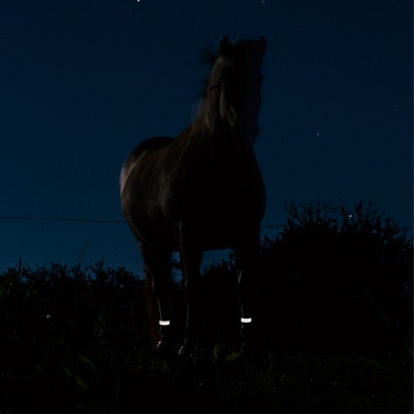 EQU Streamz Reflective turnout strips for horses outside/turned out who may chew at the bands. At night reflecting light.