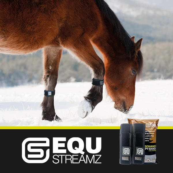 EQU Streamz horse bands suitable in winter months turnout in snow and rain and mud.