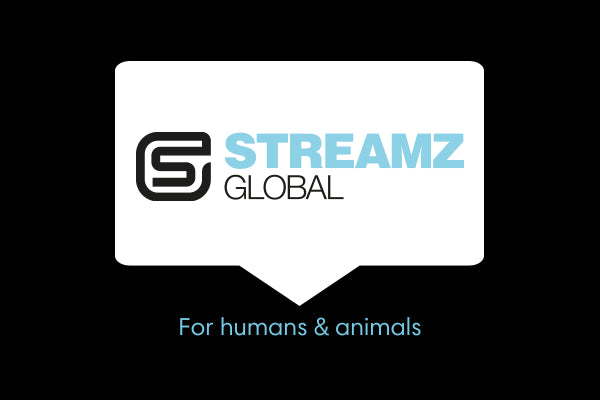 StreamZ Global Limited Video Image