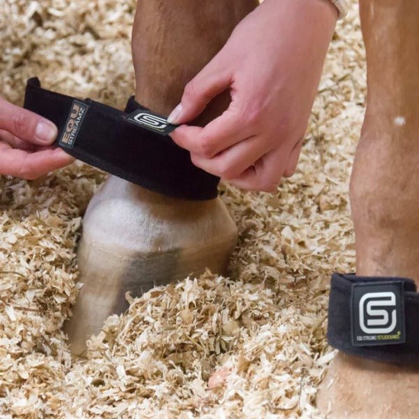 EQU StreamZ Magnetic Horse Bands ideal at supporting horses recovery from injuries, tendons, laminitis, navicular, windgalls.