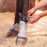 EQU StreamZ Magnetic Horse Bands on horse wearing above fetlock joint turned in and placed on hocks of horse ideal for splint injuries, tendons and ligaments strains, laminitis, navicular and more.